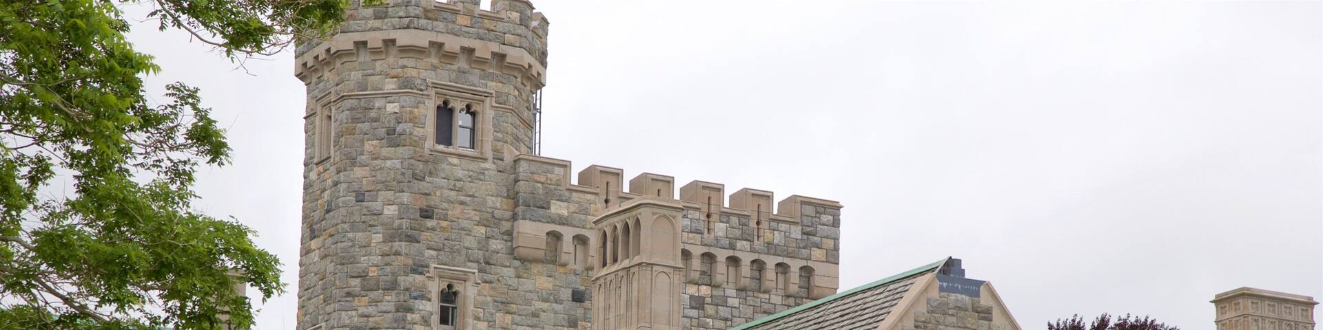 A large stone castle with a prominent tower, multiple arched windows, and a green roof.