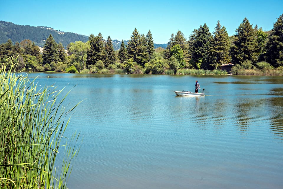 Um lago calmo rodeado por floresta densa e colinas.