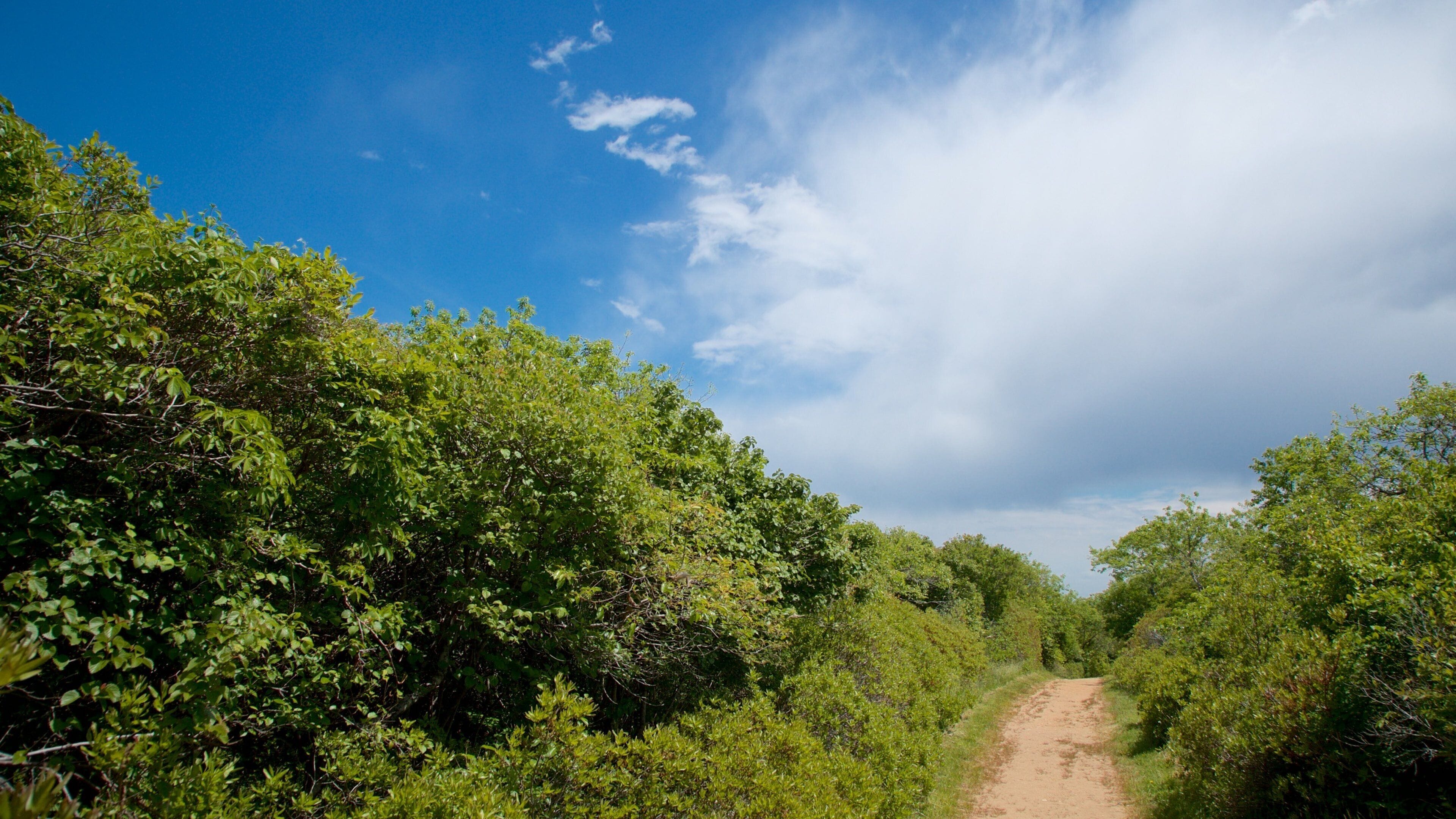 Parque estatal Shadmoor