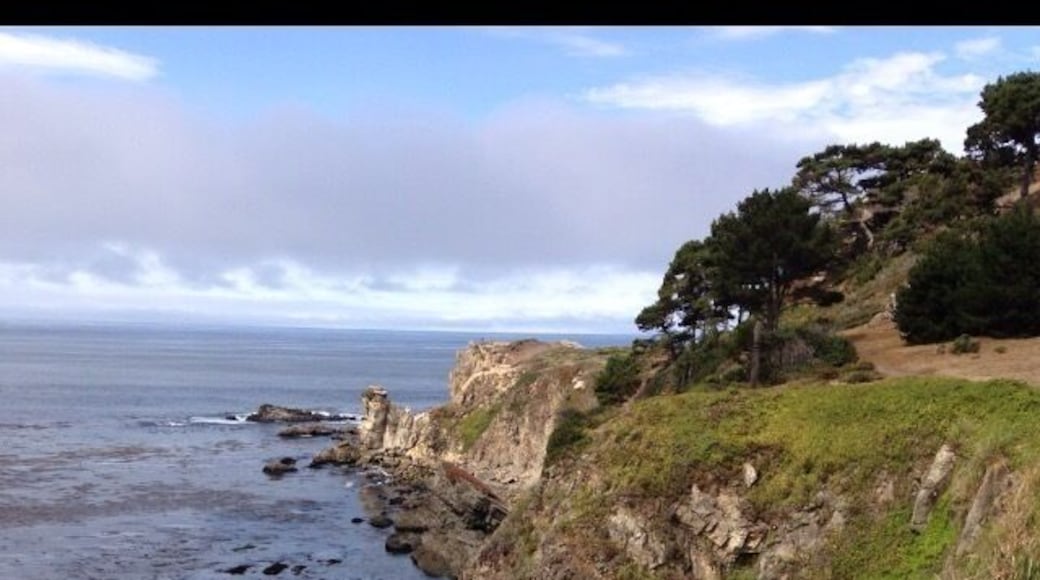 Northern California coastline
