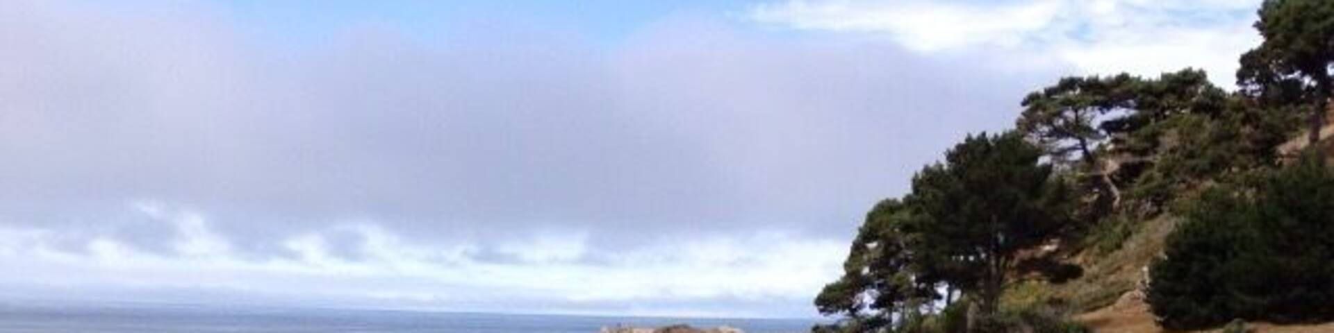 Northern California coastline