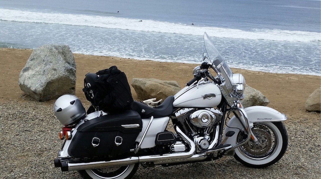 Shoreline HiWay One near Jenner - beautiful road equal to PCH south of San Francisco