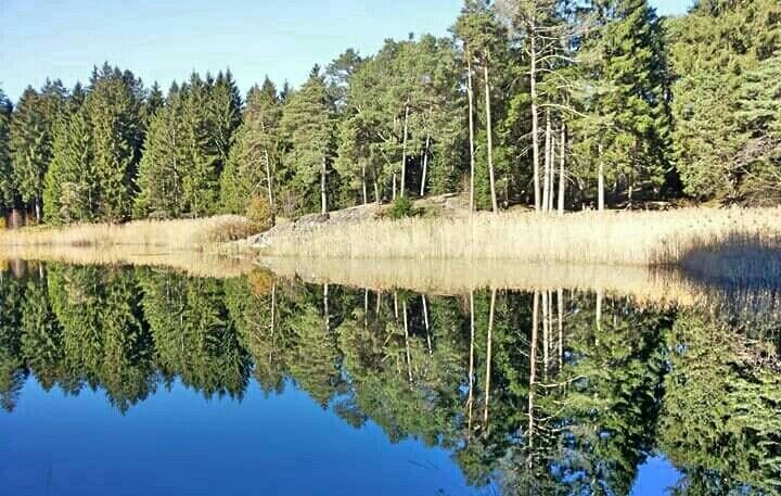 Lago di Santa Colomba (Q49967160)