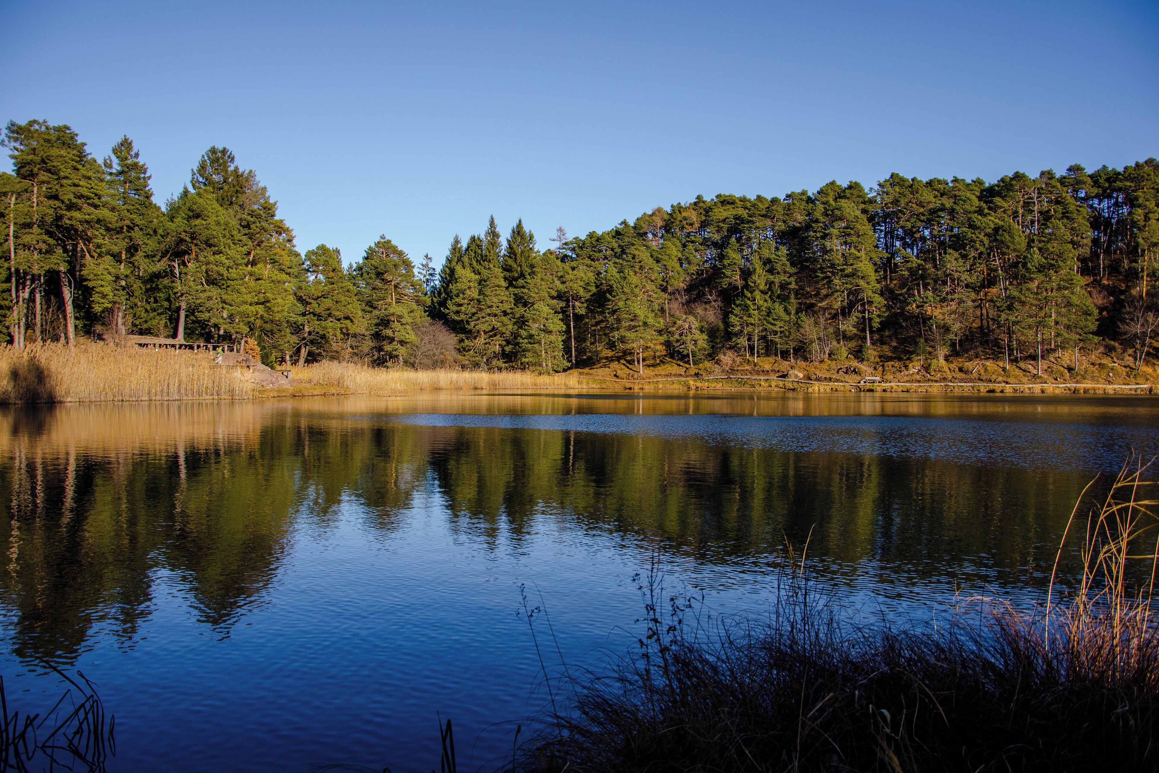 Lago di Santa Colomba (Q49967160)