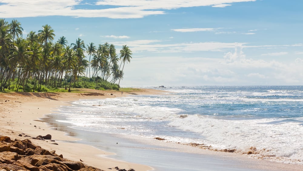 Sri Lanka, Rathgama - Calming natural beach landscape of Rajgama aka Rathgama