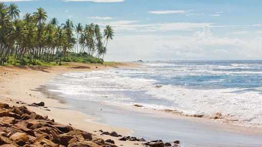 Sri Lanka, Rathgama - Calming natural beach landscape of Rajgama aka Rathgama