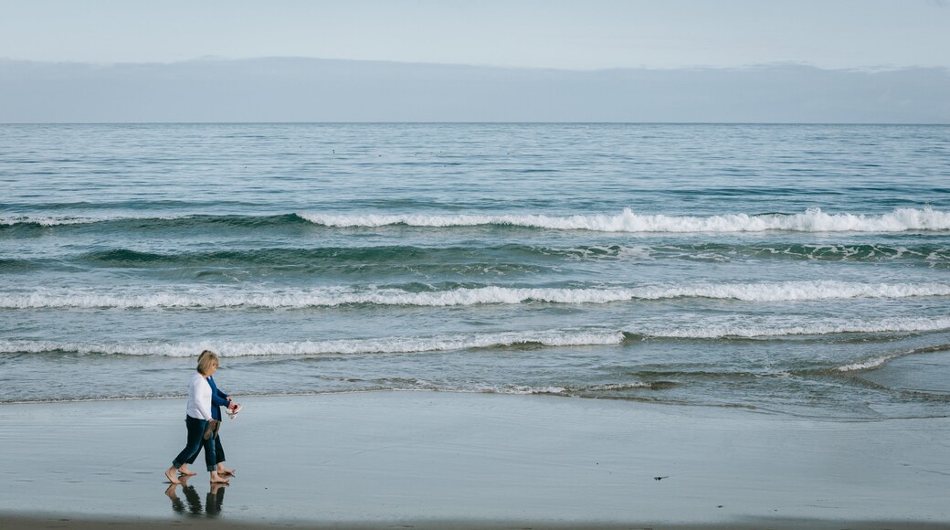 Del Monte Beach which includes general coastal views as well as a couple