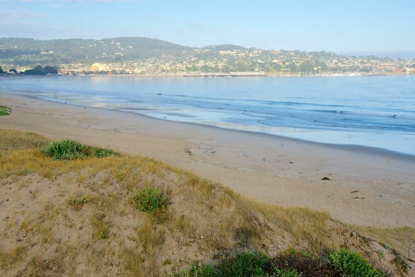 Une plage de sable fin aux vagues douces, une dune herbeuse et, au loin, une ville qui se dessine à l’horizon.