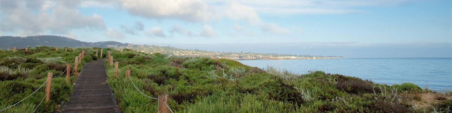 Del Monte Beach featuring general coastal views and tranquil scenes