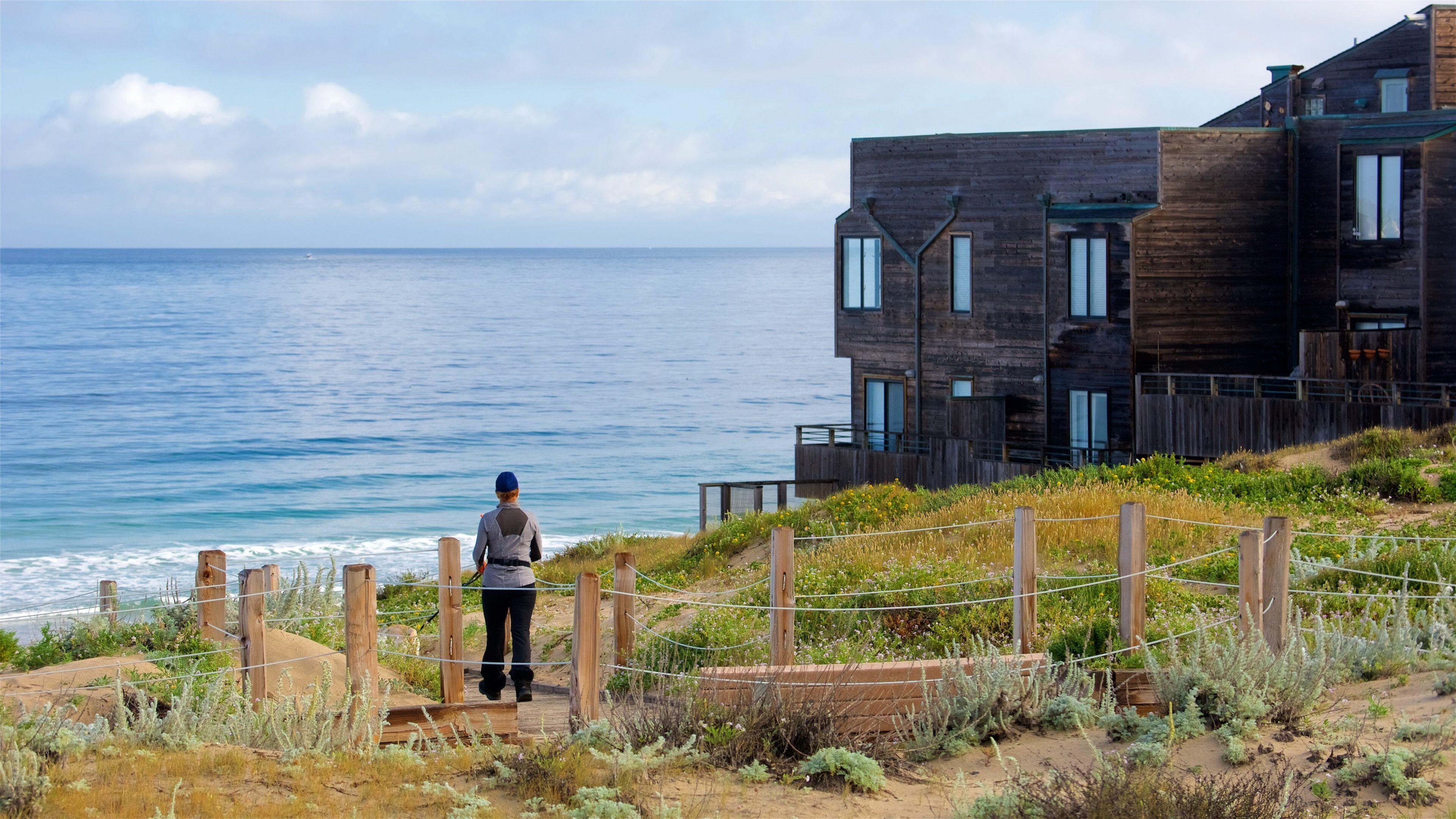 Del Monte Beach showing a beach, general coastal views and a house