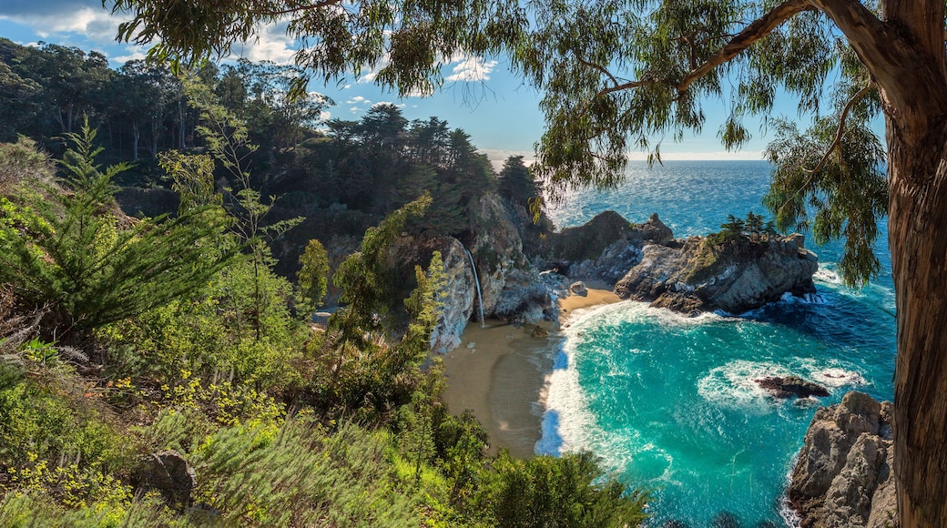 A panoramic view of McWay falls along the Big Sur coast of California.