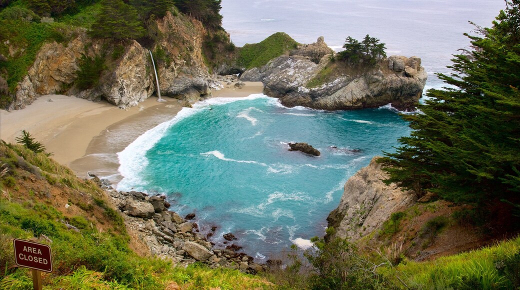 McWay Falls fasiliteter samt bukt eller havn