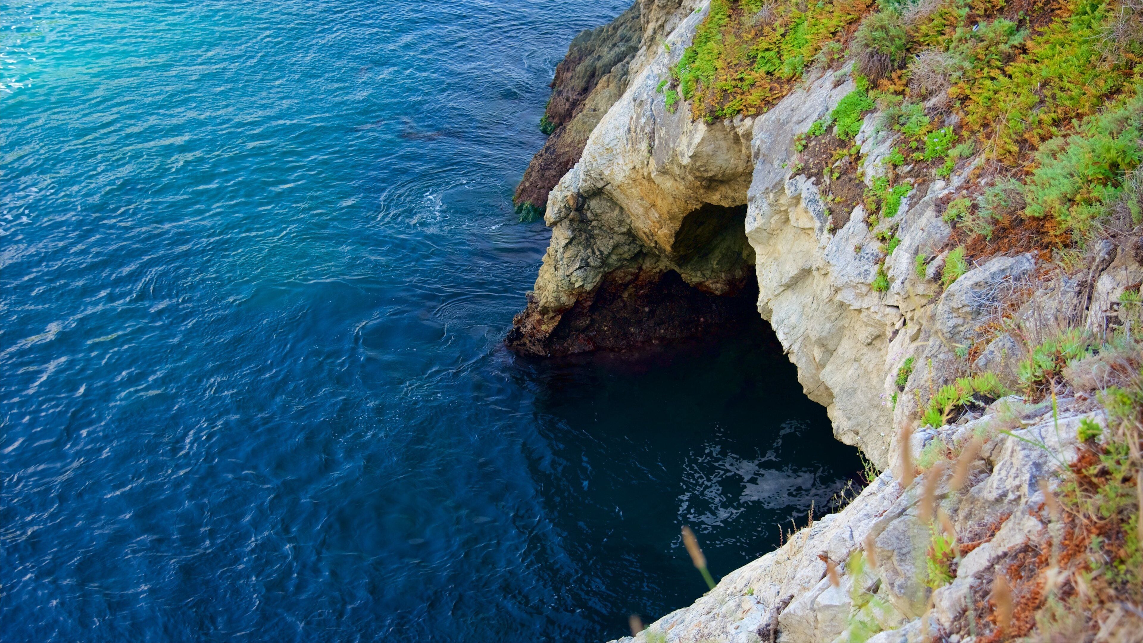 Partington Cove showing general coastal views and rocky coastline