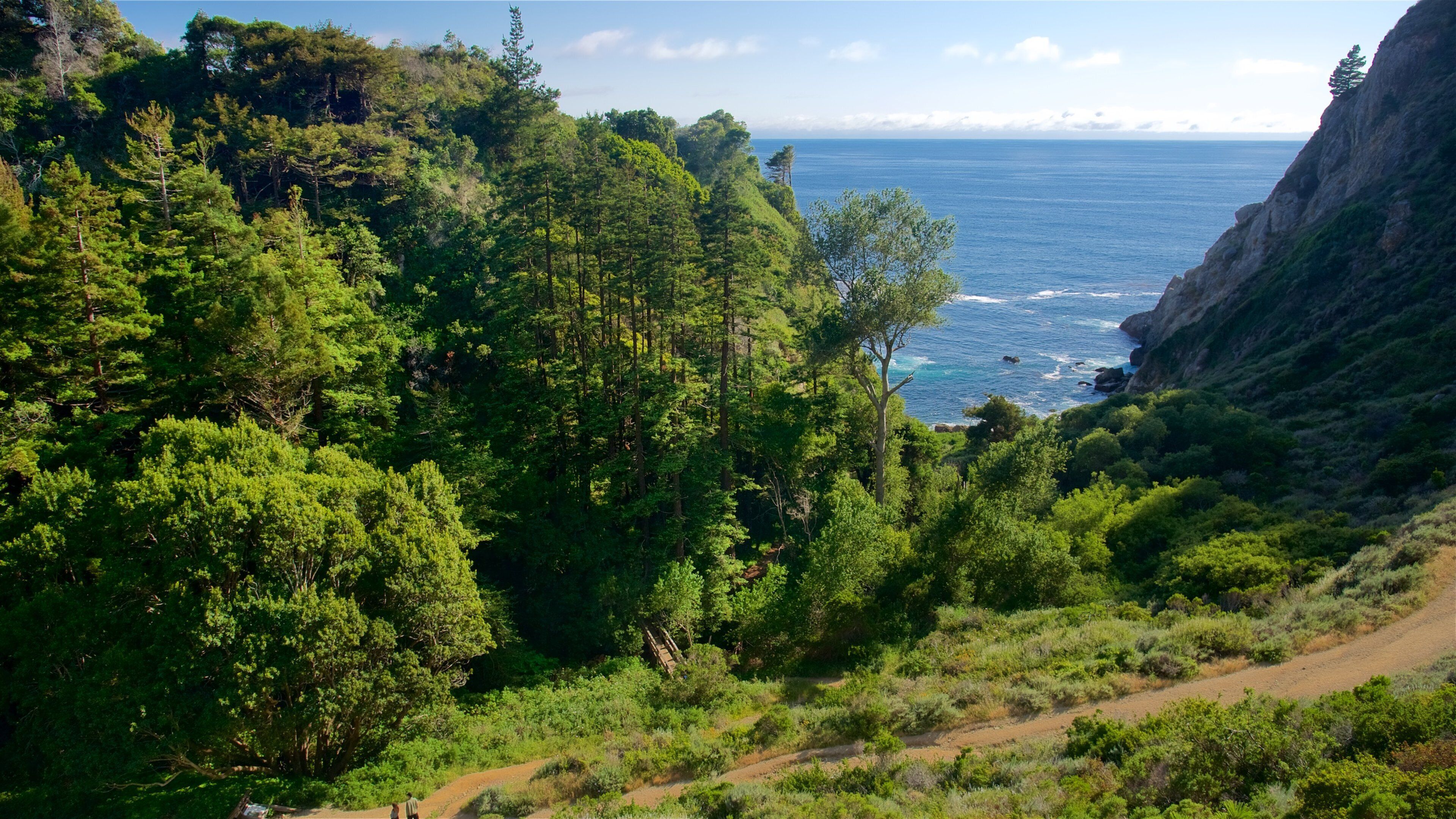 Cala Partington ofreciendo vistas de una costa y litoral accidentado