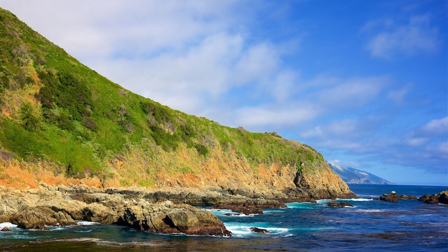 Partington Cove featuring mountains and rocky coastline