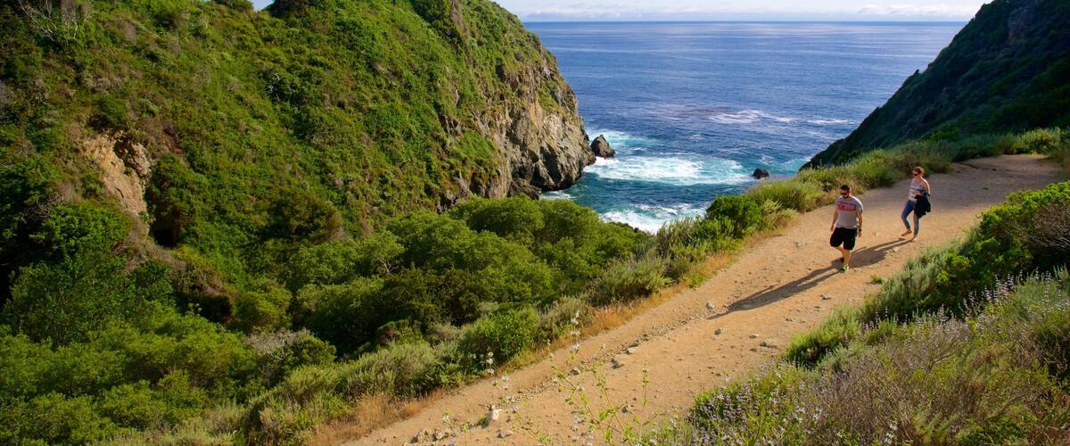 Partington Cove which includes forests, hiking or walking and general coastal views