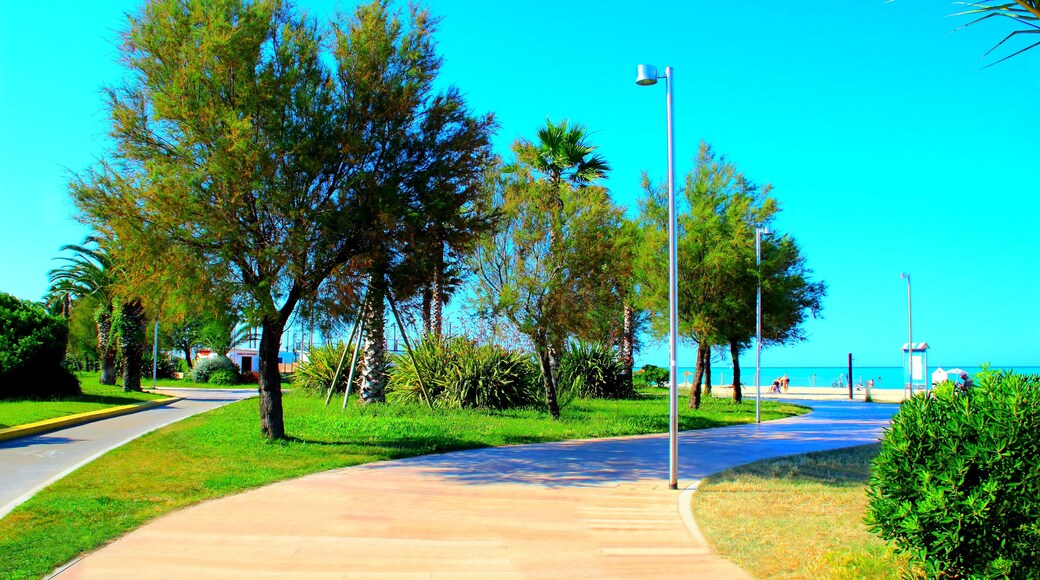 CIVITANOVA MARCHE, ITALY - JUNE 26, 2023: Promenade in Civitanova Marche. Civitanova Marche borders the municipalities: Montecosaro, Porto Sant'Elpidio, Potenza Picena and Sant'Elpidio a Mare