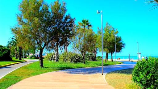 CIVITANOVA MARCHE, ITALY - JUNE 26, 2023: Promenade in Civitanova Marche. Civitanova Marche borders the municipalities: Montecosaro, Porto Sant'Elpidio, Potenza Picena and Sant'Elpidio a Mare