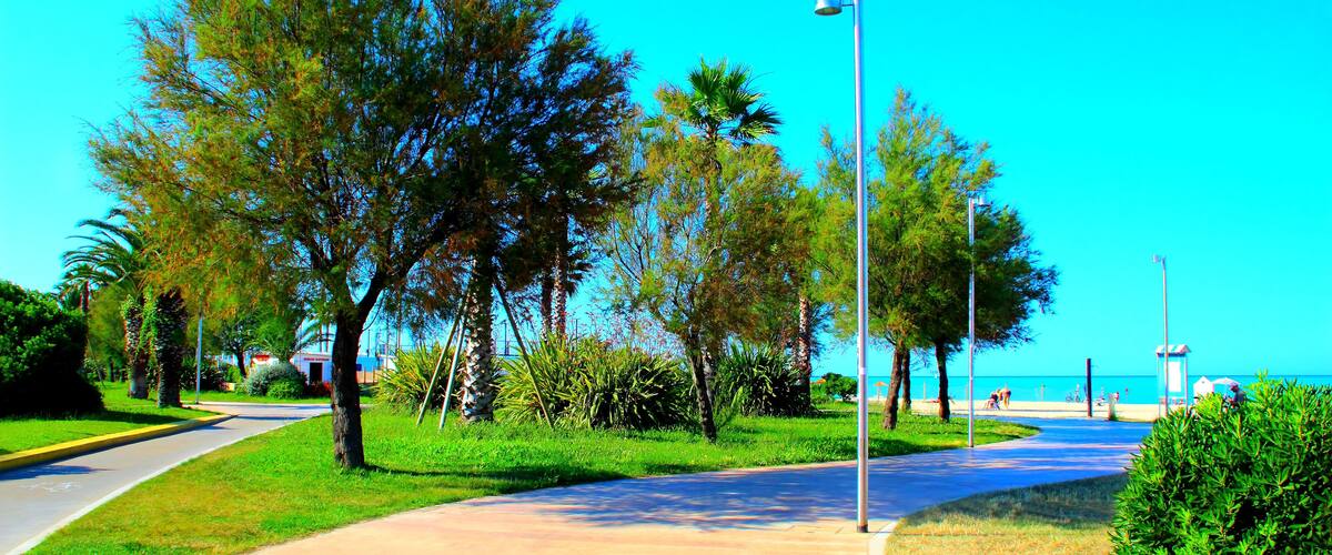 A coastal walkway with trees, a clear blue sky, and a view of the sea.