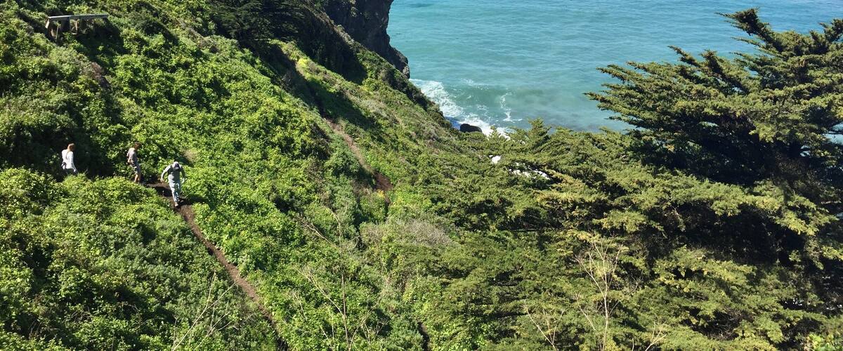 A coastal landscape with a steep cliff, lush greenery, and the ocean.