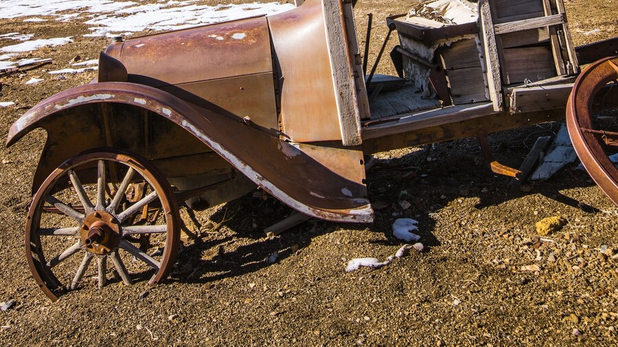 Parc estatal de Berlin-Ichthyosaur
