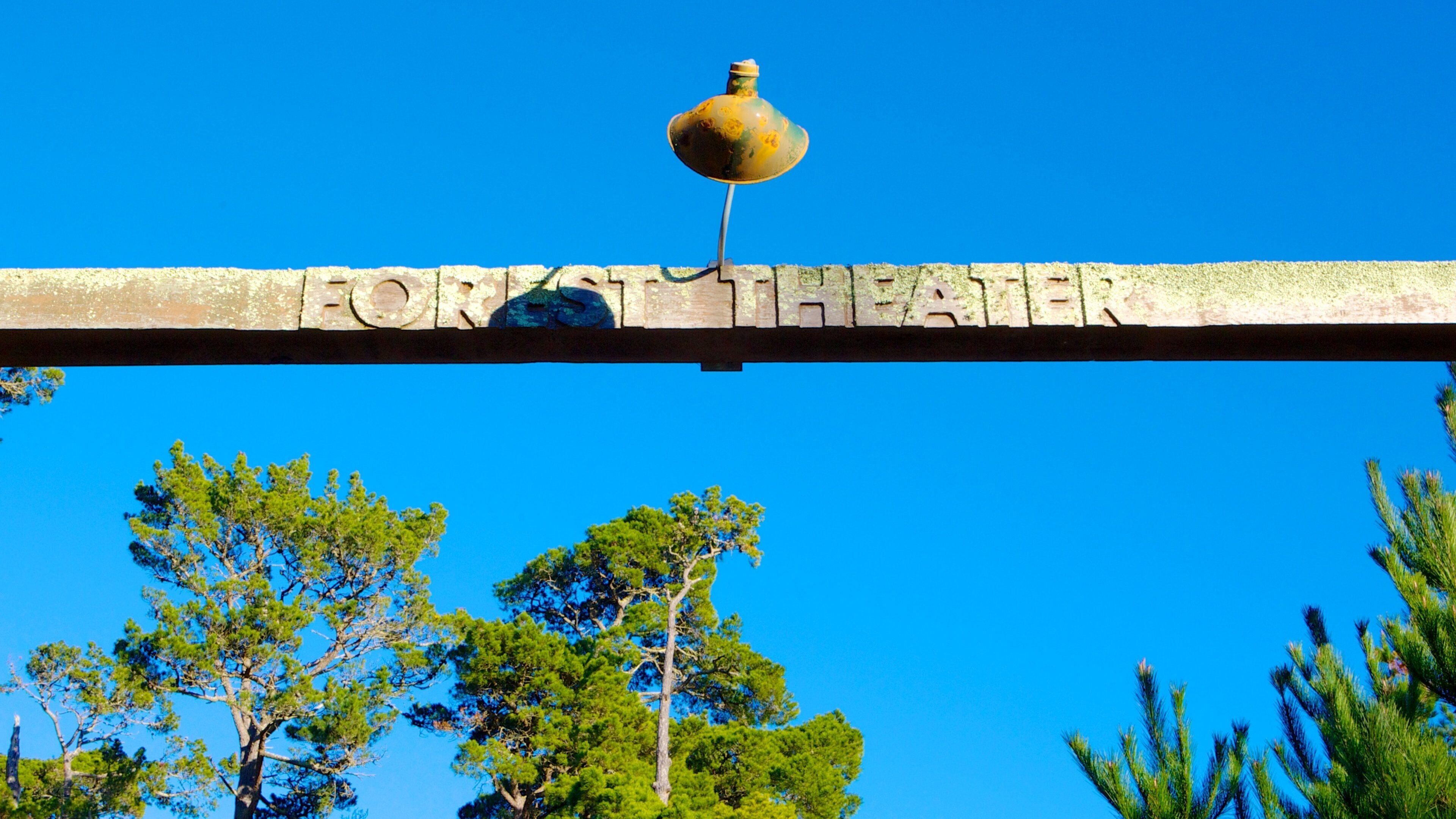 Forest Theater Guild showing signage