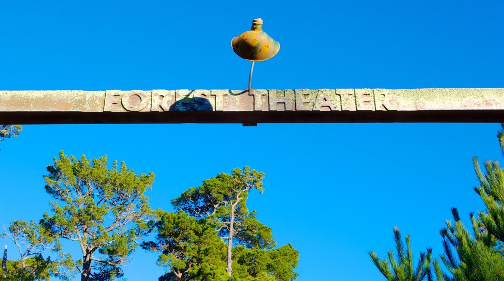 Forest Theater Guild showing signage