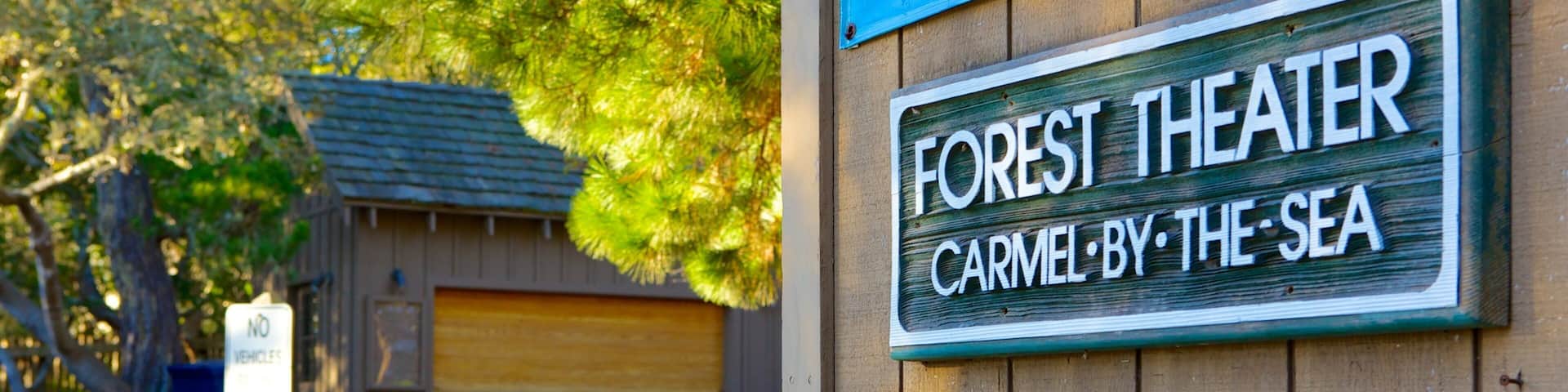 Forest Theater Guild featuring signage