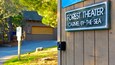Forest Theater Guild