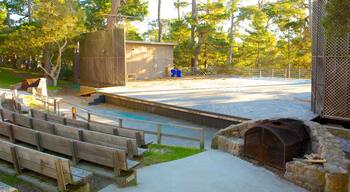 Forest Theater Guild featuring a garden and theater scenes