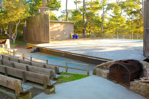 Forest Theater Guild featuring a garden and theater scenes