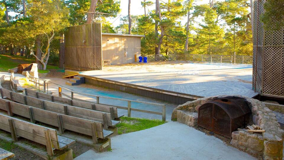 Forest Theater Guild featuring a garden and theater scenes