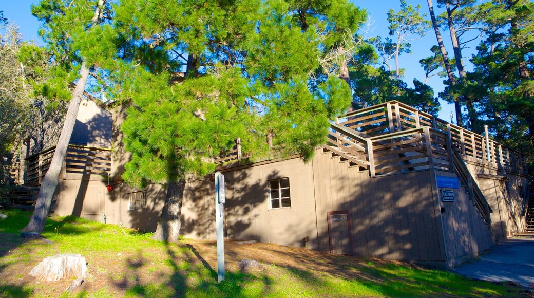 Forest Theater Guild som omfatter teaterliv og kunst