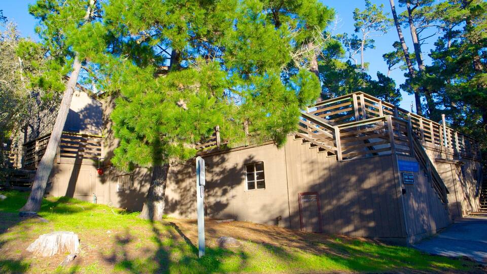 Forest Theater Guild que inclui cenas de teatro e arte