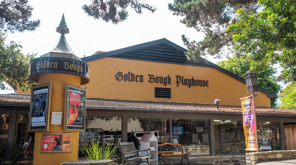 Carmel_GoldenBoughPlayhouse_6327738-3