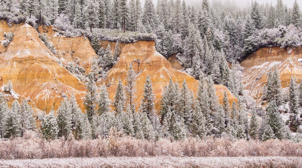 Malicof Diggins State Park in winter