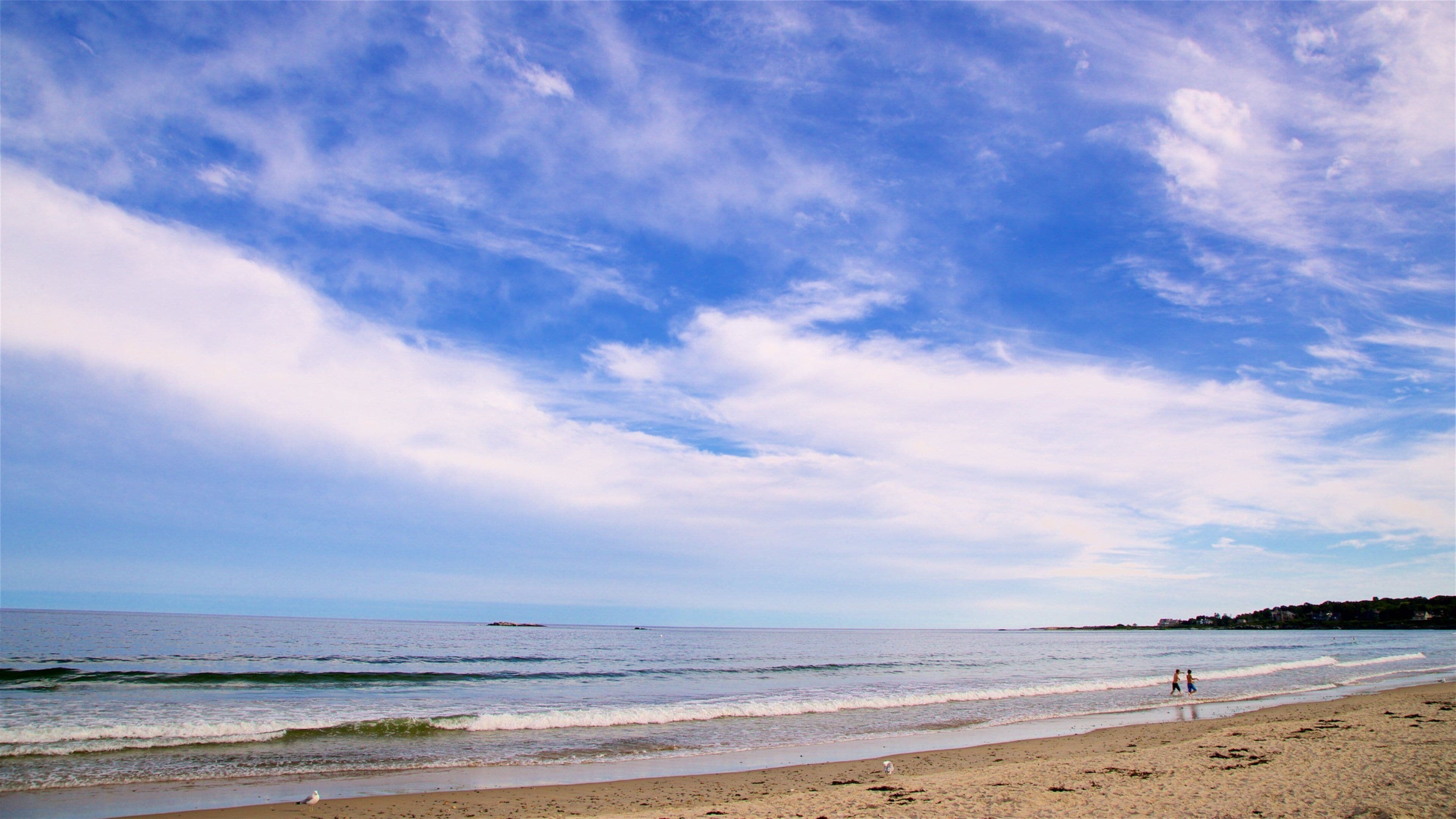 A beach with waves, a clear sky, and a distant island.