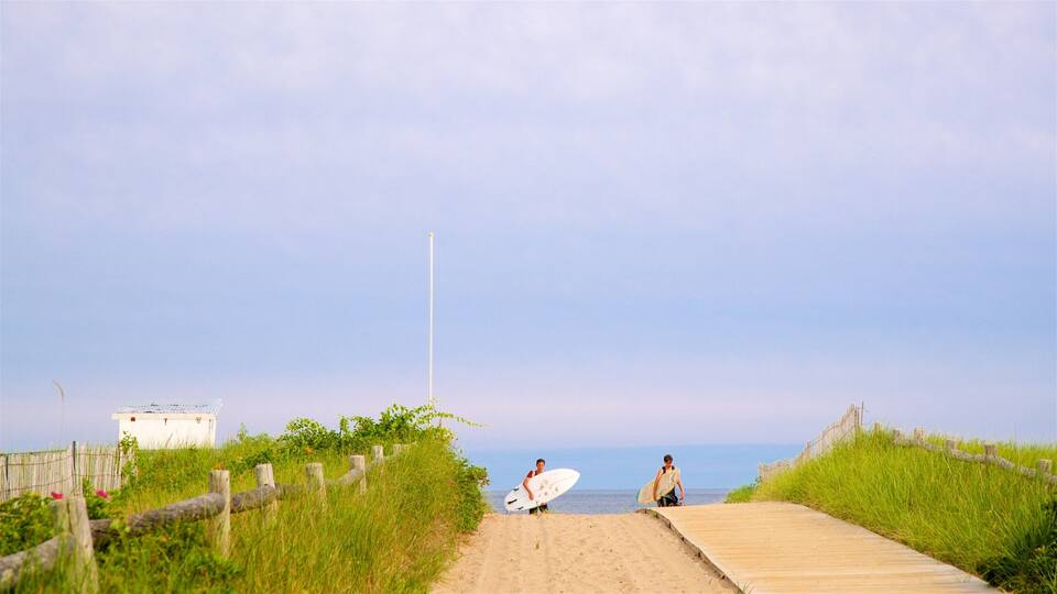 A sandy path leading to the beach, surrounded by grass and a wooden fence.