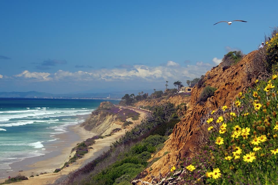 A coastal landscape with a sandy beach, cliffs, and wildflowers.