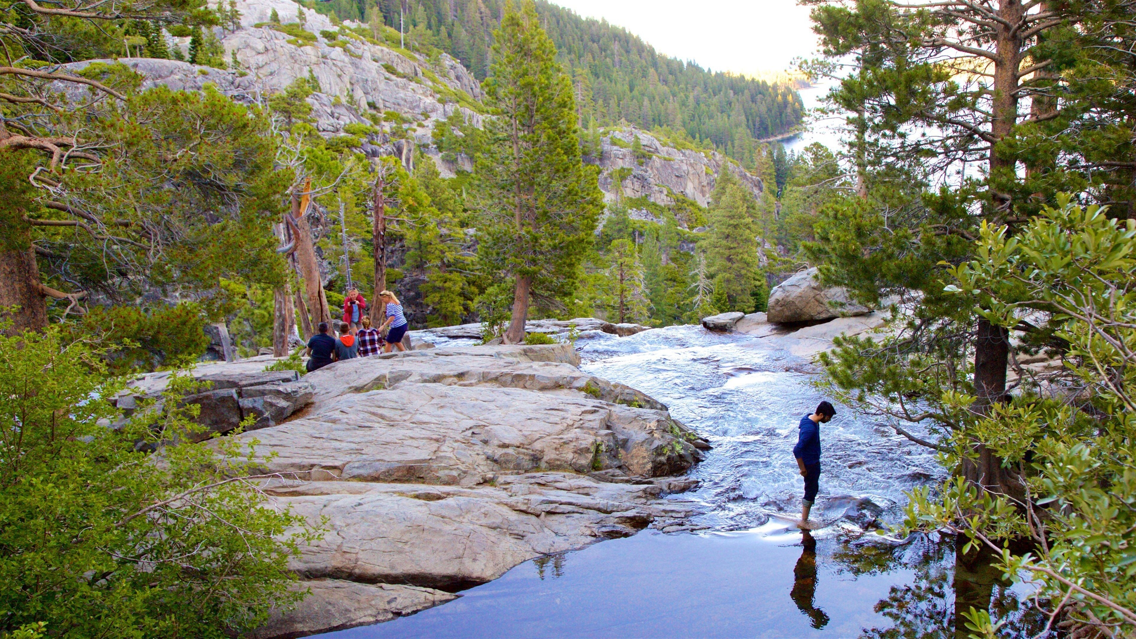 Vikingsholm featuring a river or creek and forest scenes as well as a family