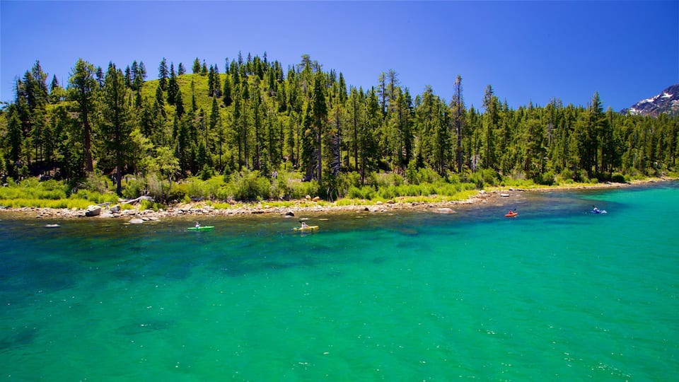 A river surrounded by dense forest and mountains.