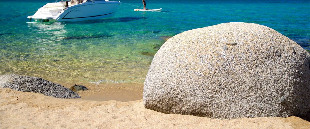 D. L. Bliss delstatspark som viser kajakkpadling eller kanopadling, kyst og sandstrand