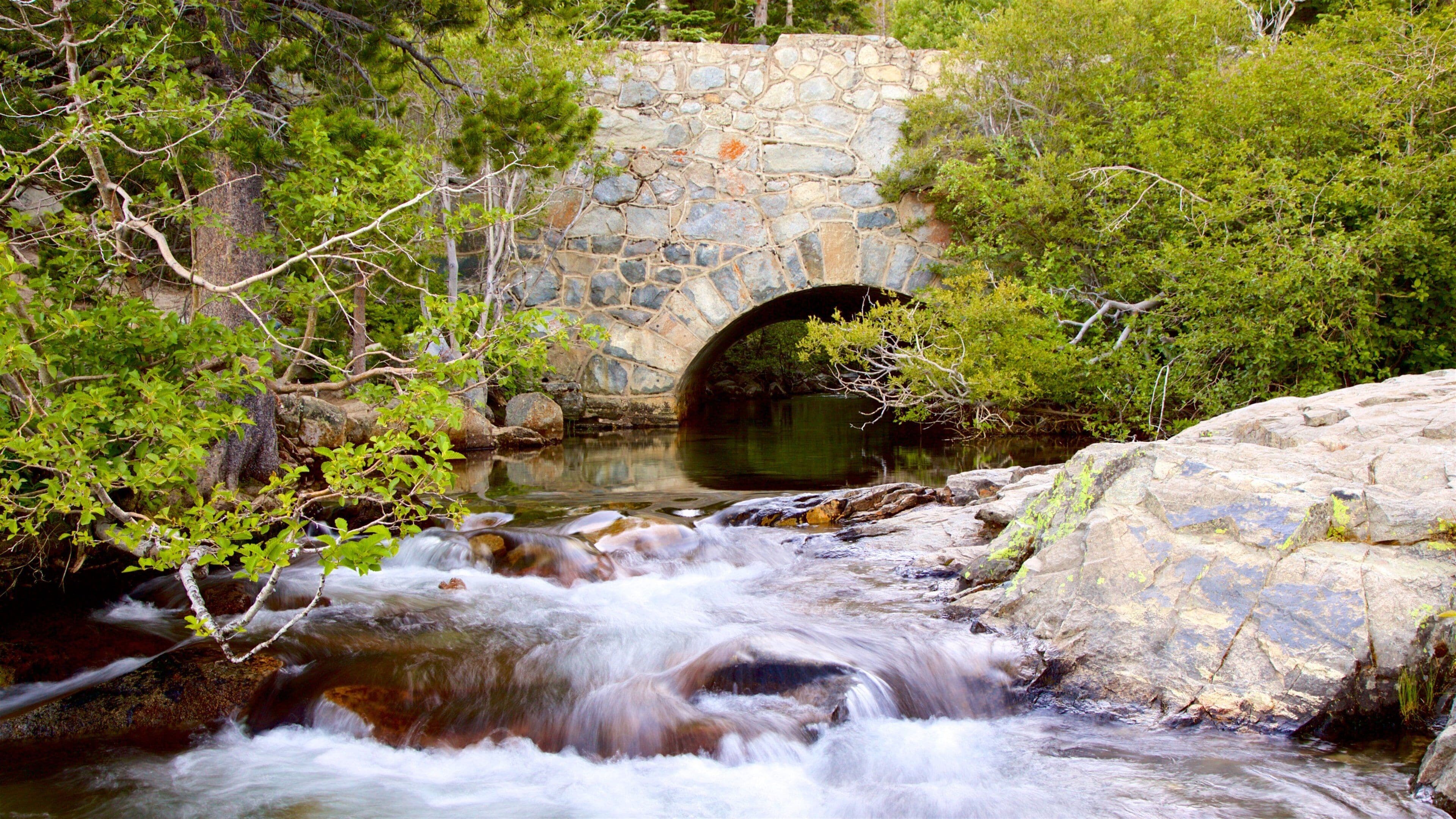 A stone bridge over a flowing river surrounded by greenery.