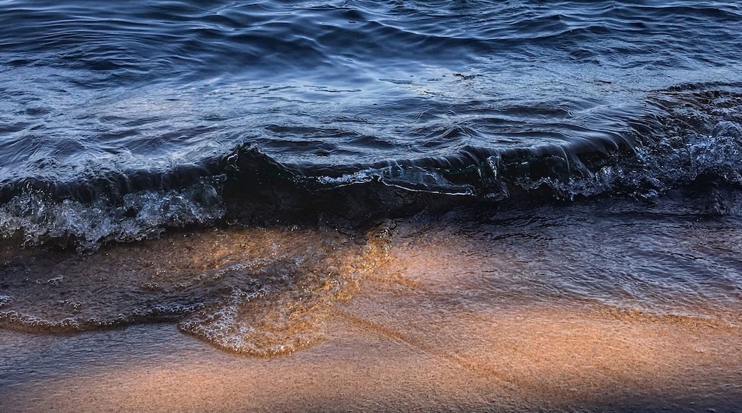 Great historical site to walk around and enjoy the beaches of Tahoe.