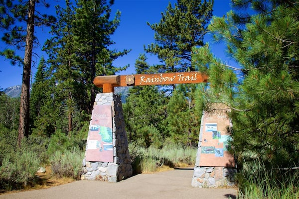 Taylor Creek Visitor Center which includes signage and forests
