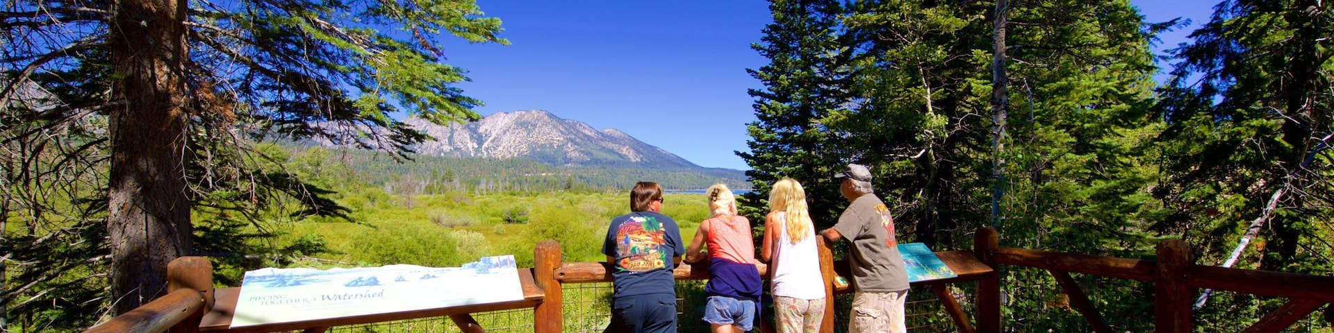 Taylor Creek Visitor Center showing views and tranquil scenes as well as a small group of people
