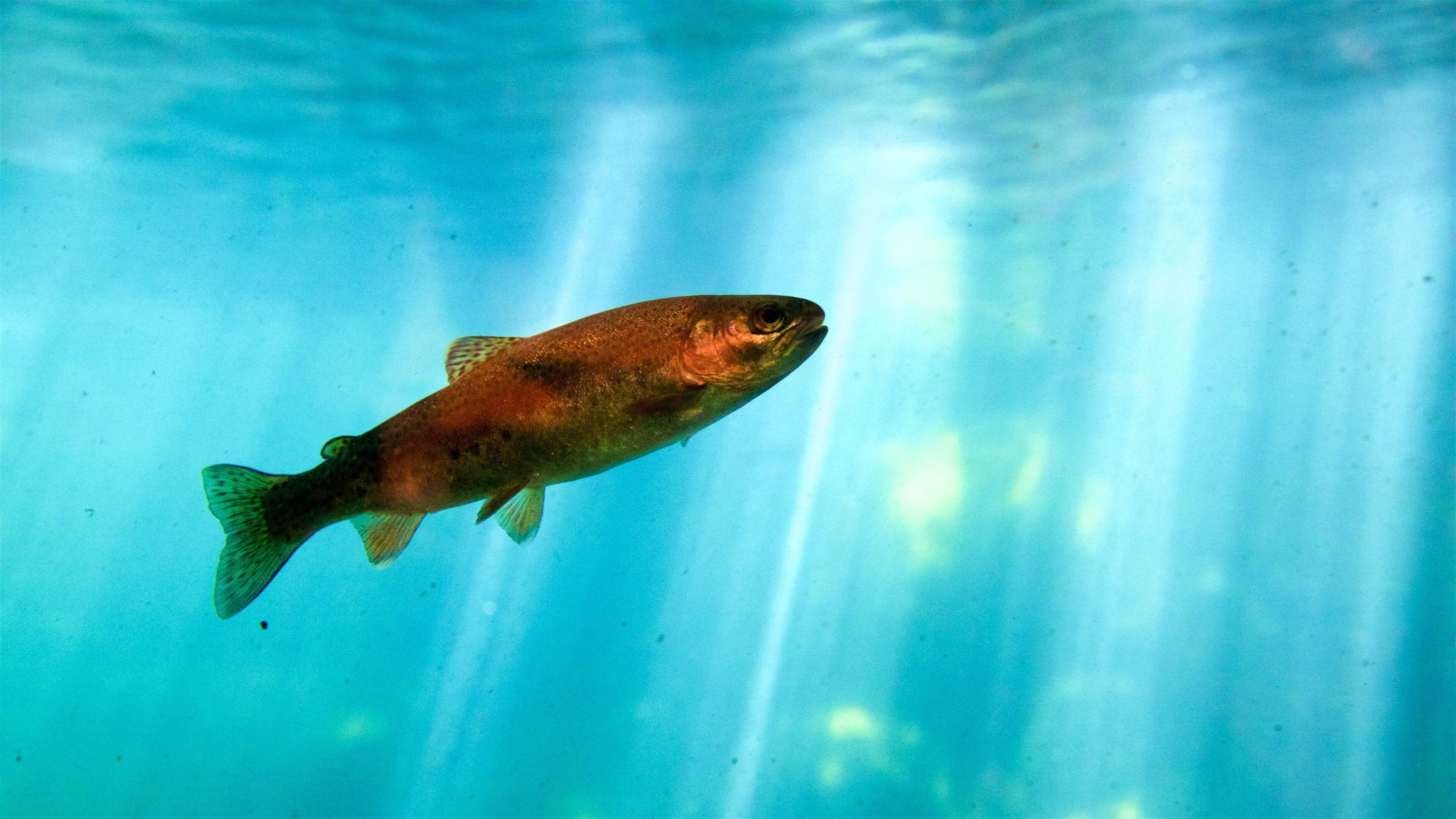 Taylor Creek Visitor Center which includes marine life