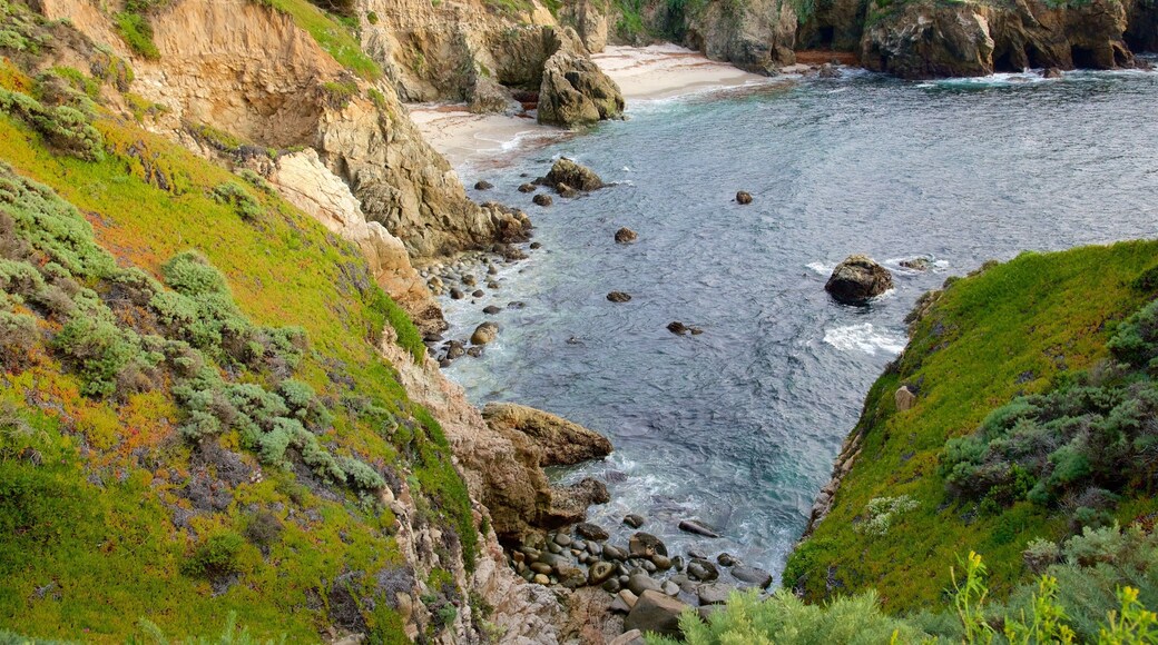 加拉帕塔海灘 设有 多岩石的海岸線