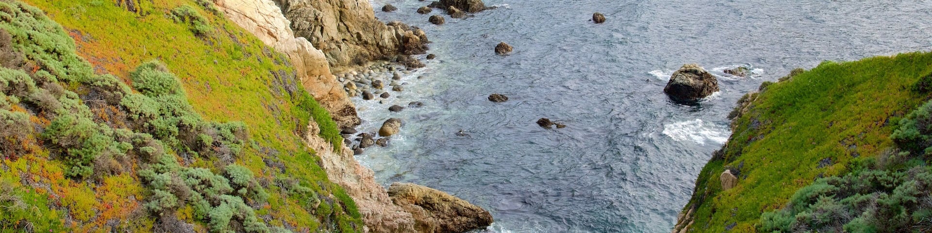 Garrapata Beach featuring rugged coastline