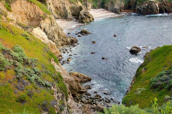 Garrapata Beach featuring rocky coastline